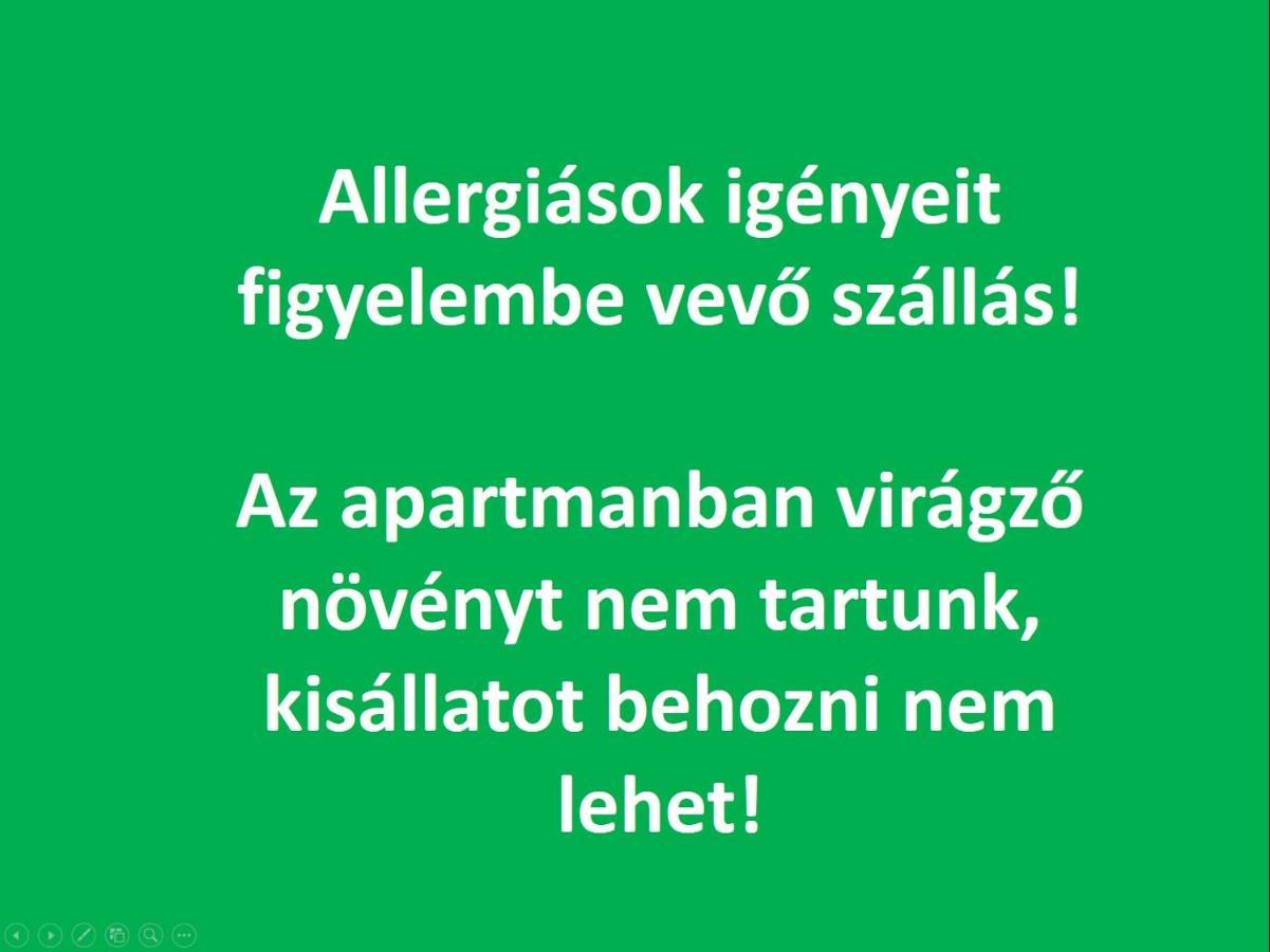 מישקולץ Smart Business Apartman מראה חיצוני תמונה